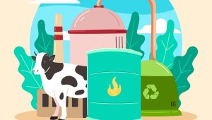 Biogas